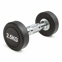 Гантель неразборная круглая 2,5 кг. VictoryFit VF-R025