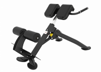 Гиперэкстензия под углом 45 градусов Spirit SP-4220