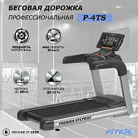 Беговая дорожка "Premier 4TS PROF"