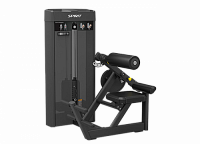 Разгибание спины Spirit SP-4310